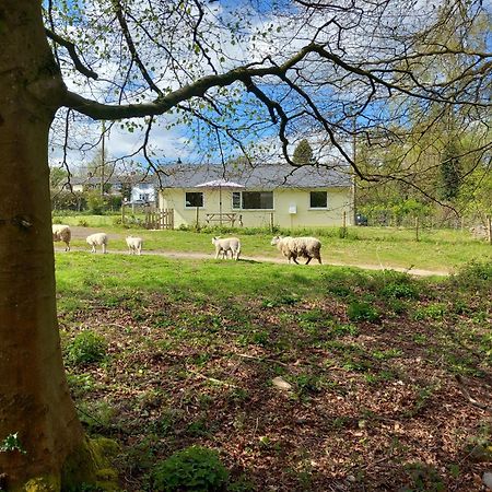 The Bungalow, Forest Of Dean كول فورد المظهر الخارجي الصورة