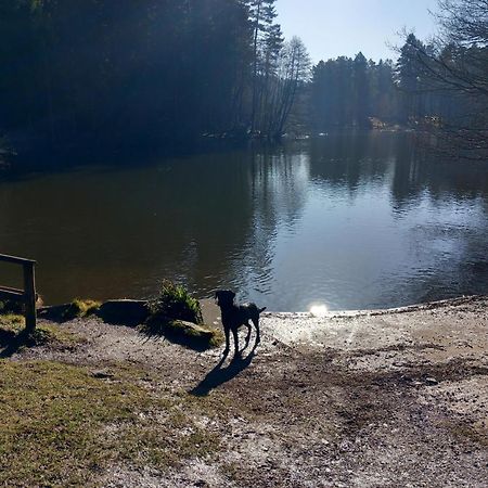 The Bungalow, Forest Of Dean كول فورد المظهر الخارجي الصورة