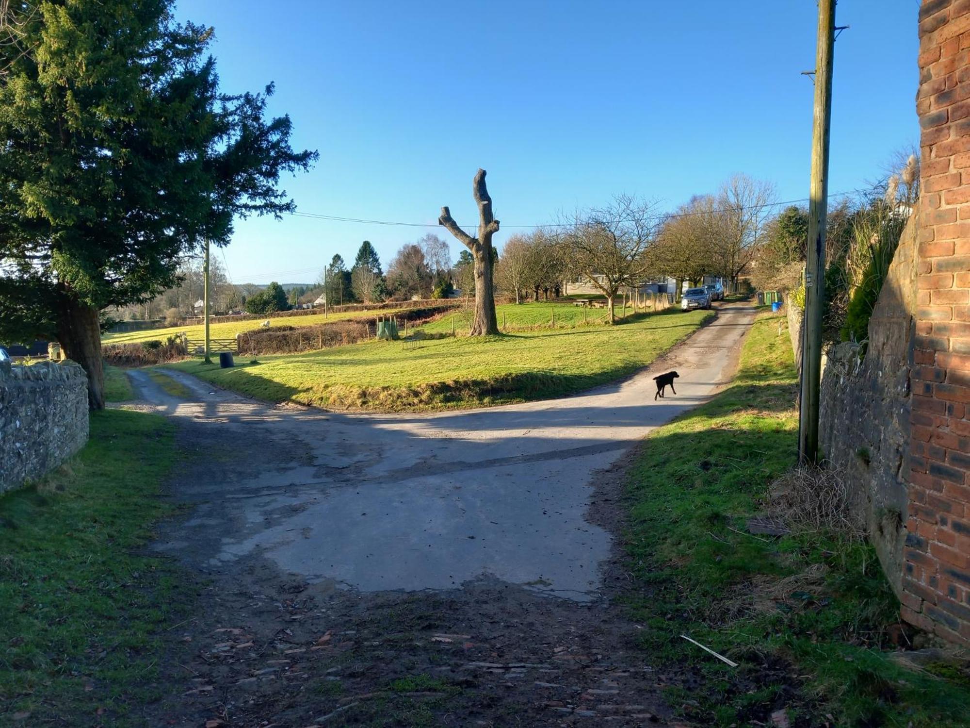The Bungalow, Forest Of Dean كول فورد المظهر الخارجي الصورة