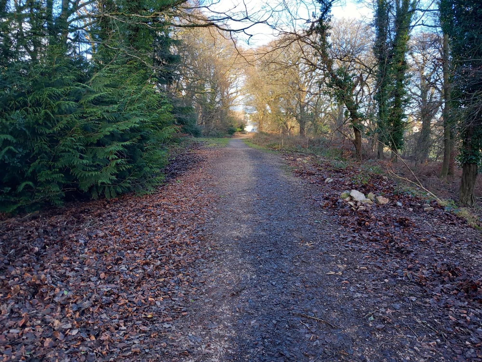 The Bungalow, Forest Of Dean كول فورد المظهر الخارجي الصورة