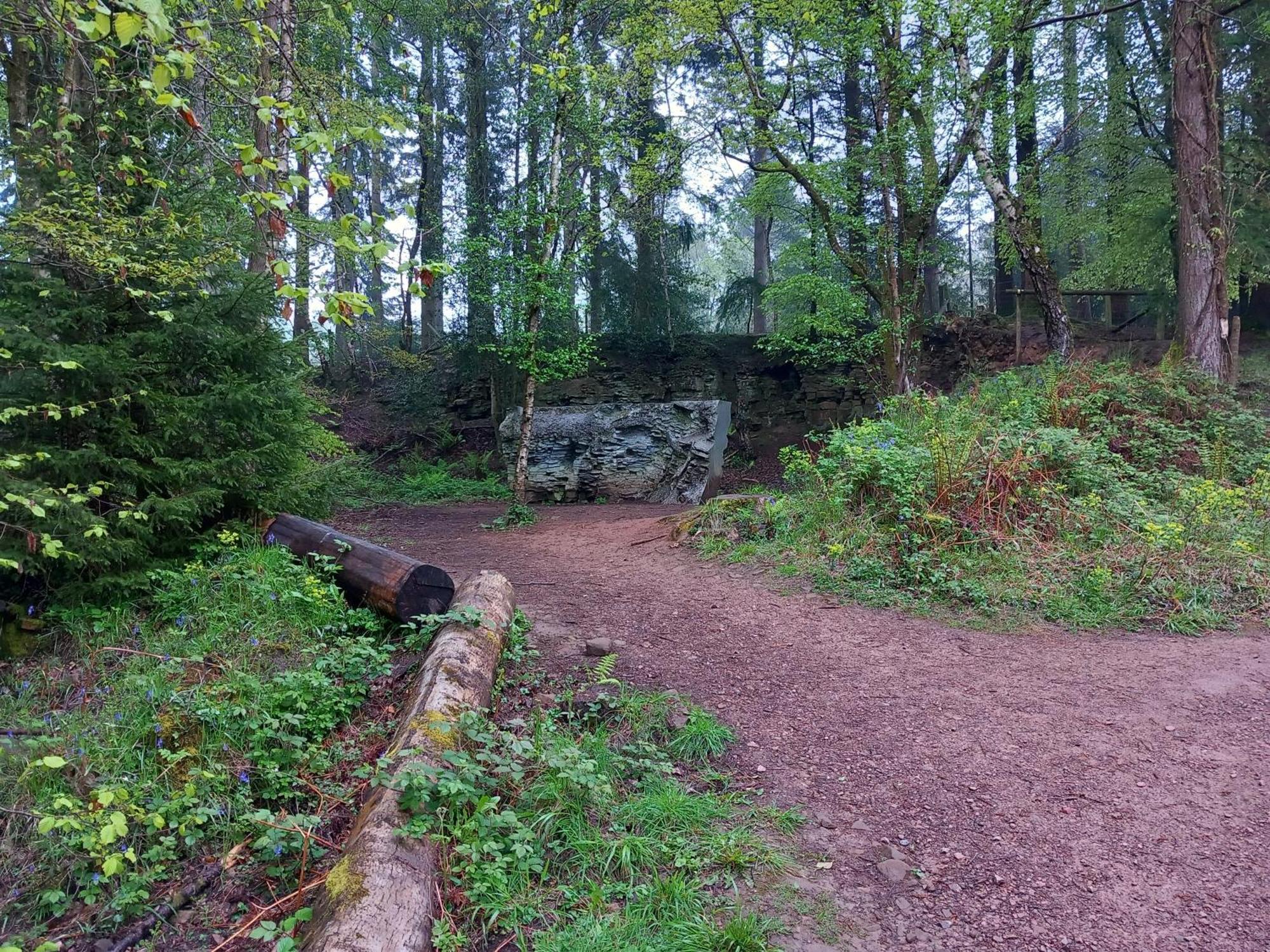 The Bungalow, Forest Of Dean كول فورد المظهر الخارجي الصورة
