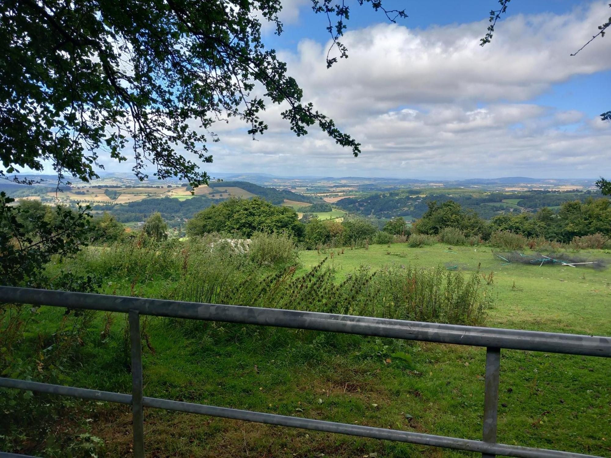 The Bungalow, Forest Of Dean كول فورد المظهر الخارجي الصورة