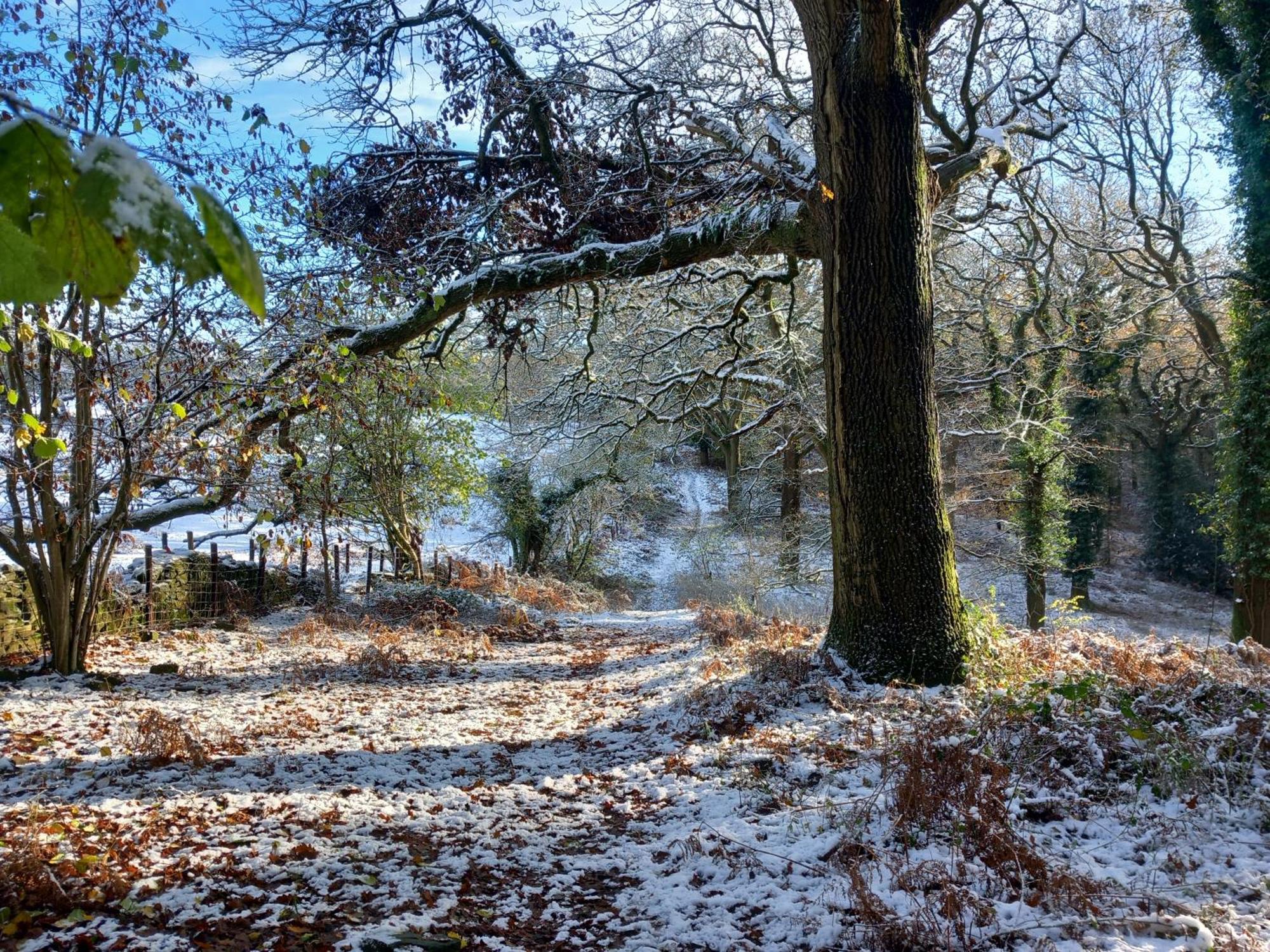 The Bungalow, Forest Of Dean كول فورد المظهر الخارجي الصورة